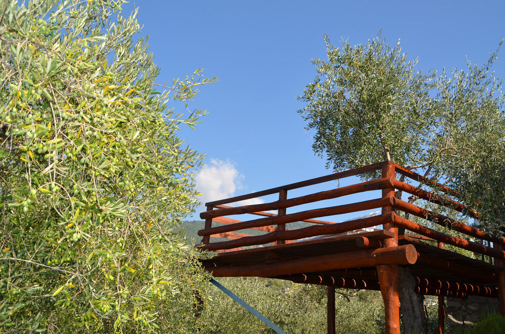 Agri Bed - L'Affittacamere In Collina - Guest Room On The Hill Lavagna Zewnętrze zdjęcie
